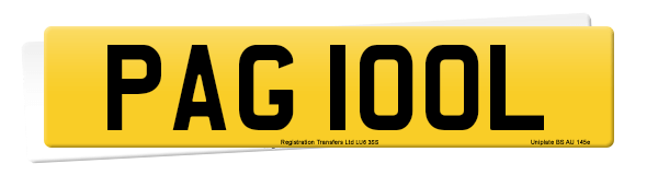 Registration number PAG 100L